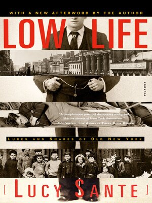 cover image of Low Life